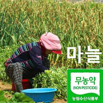 참거래농민장터,무농약  깐 마늘(꼭지제거) 1kg