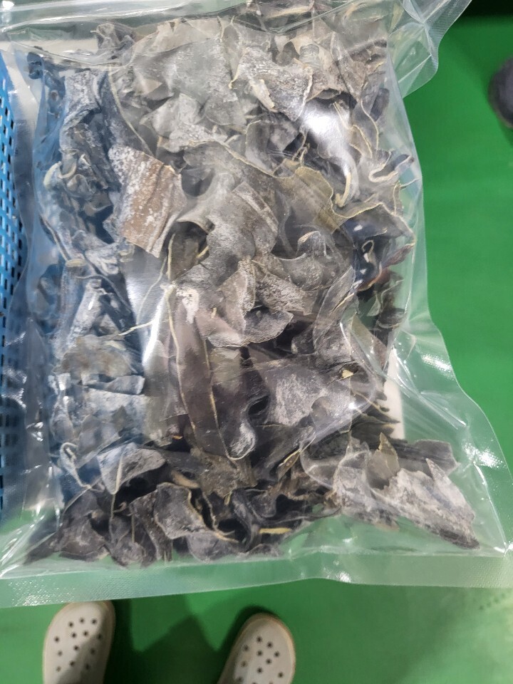 참거래농민장터,조각뿌리 다시마 진액이 풍부한 뿌리다시마 1kg (500g x 2봉)