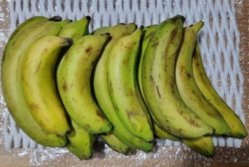 참거래농민장터,국내산!! ★못난이★ 유기농 바나나 2kg