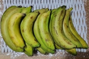 국내산!! ★못난이★ 유기농 바나나 2kg