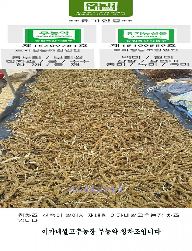 참거래농민장터,무농약 청차조   청차조쌀 1kg가격 18900 지퍼부착