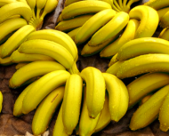 유기농 국산 바나나