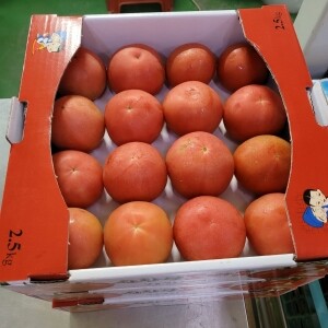 건강한 빨간맛! 무농약 완숙토마토 3kg, 5kg