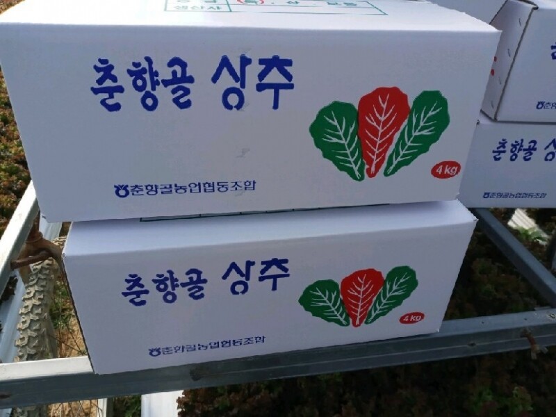 참거래농민장터,산지직송 당일수확! 김갑식농부의 꽃포기상추(꽃상추) (2kg, 4kg)
