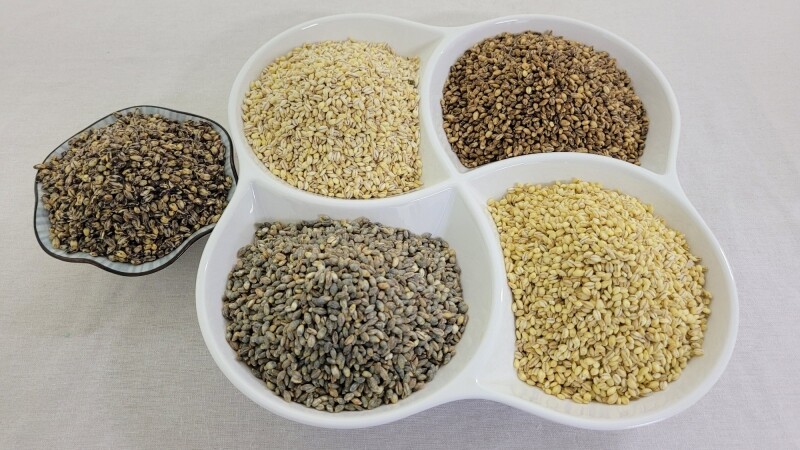 참거래농민장터,2023년 햇보리쌀 유기농 오색찰보리쌀 4kg