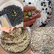 잡곡꾸러미세트 유기농 오색찰보리쌀과 국산서리태, 귀리 각1kg씩 총3kg