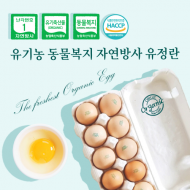 [올계] non gmo 유기농 자연방사 유정란 20구 계란 유정란 방사유정란