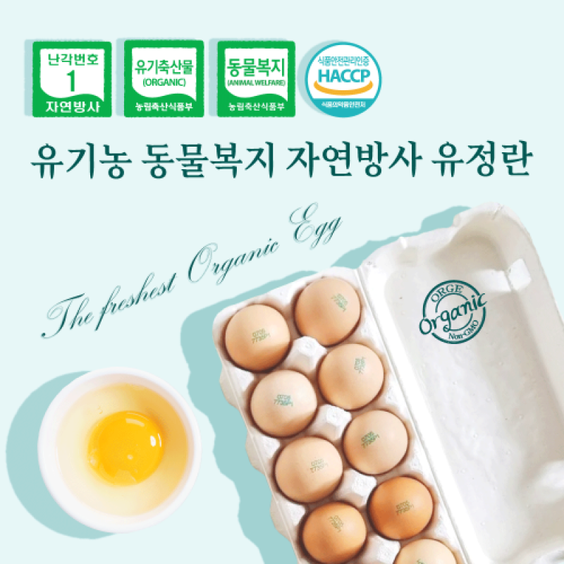 참거래농민장터,[올계] non gmo 유기농 자연방사 유정란 20구 계란 유정란 방사유정란