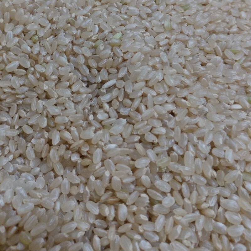 참거래농민장터,농부 SOS 쌀눈이 살아있는 유기농 현미 1kg 포장 8개 총8kg