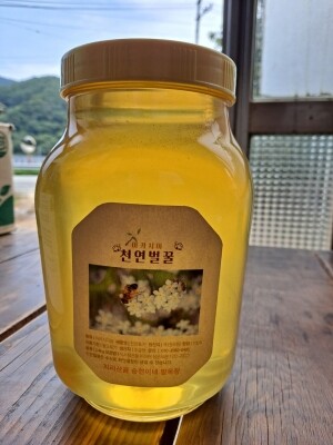 조승현 농부의 지리산골 천연벌꿀 2.4kg (야생잡화꿀)