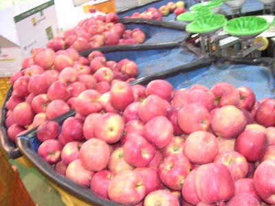참거래농민장터,아침농장 껍질째먹는 시나노스위트사과5kg(18-21)