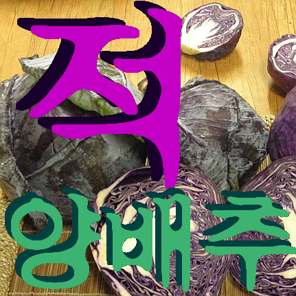 참거래농민장터,적양배추 (적채) 2kg