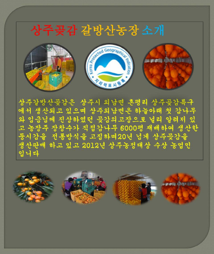참거래농민장터,상주곶감반건시3호(50g-30개)
