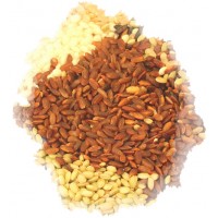 참거래농민장터,기능성쌀  유기농 적미 1kg /홍미
