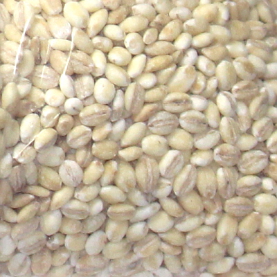 참거래농민장터,찰보리쌀1kg/유기농