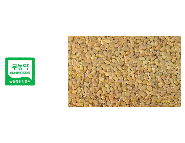 참거래농민장터,[산들바람] 2023 국내산 유기농 통밀쌀 500g 1kg