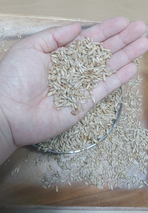 참거래농민장터,10프로 추가 할인  농부 SOS  유기농귀리쌀 1kg 오트밀 귀리