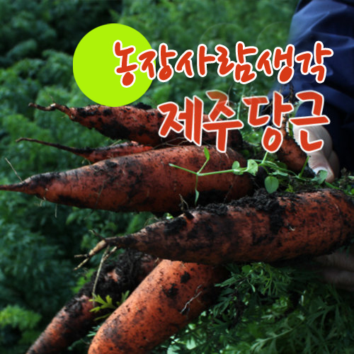 김형표농부의 제주산 유기농당근 (파지, 쥬스용, 특품)