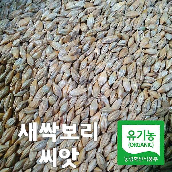 유기농 새싹보리 씨앗(겉보리) 1kg