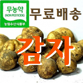 무농약 수미 하지 감자 (찜용)5kg