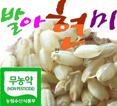 무농약 / 발아현미 1kg