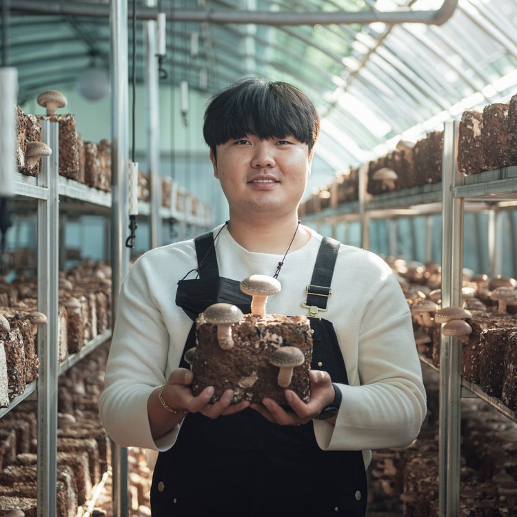 참거래농민장터,이현호 청년농부의 무농약 표고버섯