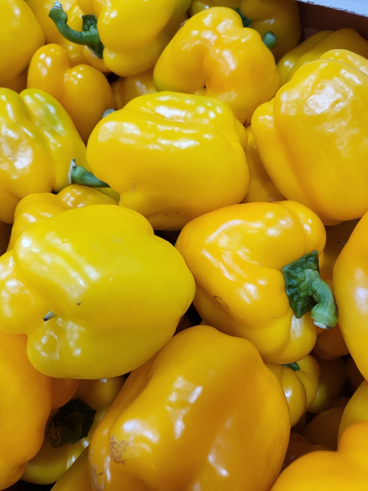 참거래농민장터,반짝판매 유기농 파프리카  1kg  빨강 노랑 주황 혼합 작은 크기(랜덤발송)